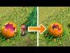 SCARY PUMPKIN WILL EAT YOU!! | Clash Of Clans | CLAN GAMES!!