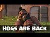 GoHog Is Back BIG TIME | Clash of Clans | Hog Riders Strateg...