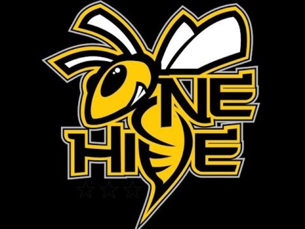 OneHive Raids