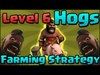 Clash of Clans - Level 6 Hog Rider Farming Strategy! TH10 & 