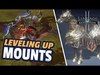 Lineage 2: Revolution - Where to Get MOUNTS and How to LEVEL