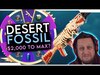 DESERT FOSSIL AKM LUCKY SPIN is HOW MUCH? New Cardboard Armo...